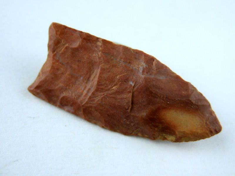 Vangjel Kapidani, një jetë në kërkim të thesareve