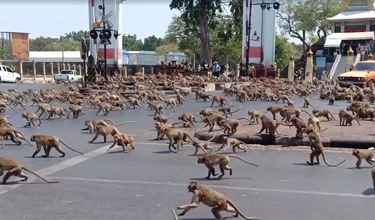 Cfarë po ndodhë në qytet ? Ndërkoh që njerëzit janë në Karantinë.